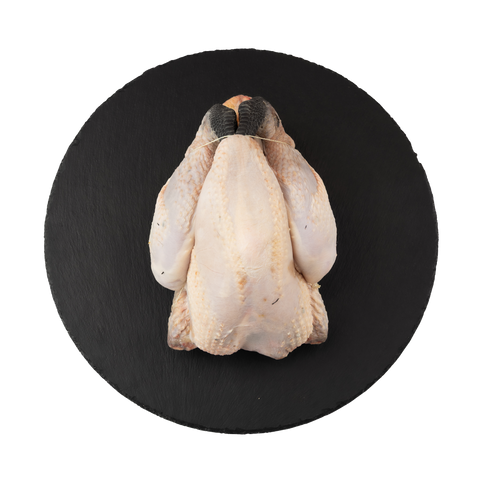 Zwartpootkip