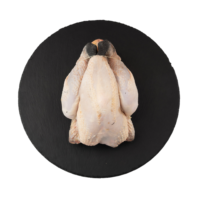 Zwartpootkip