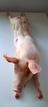 Afbeelding in Gallery-weergave laden, Speenvarken | 12 kg+ | Belgisch varkensvlees